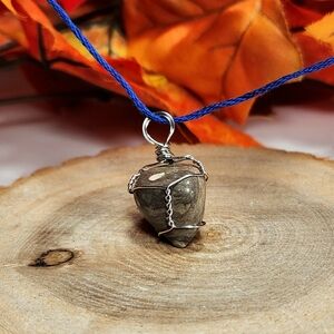 Fossil Necklaces
